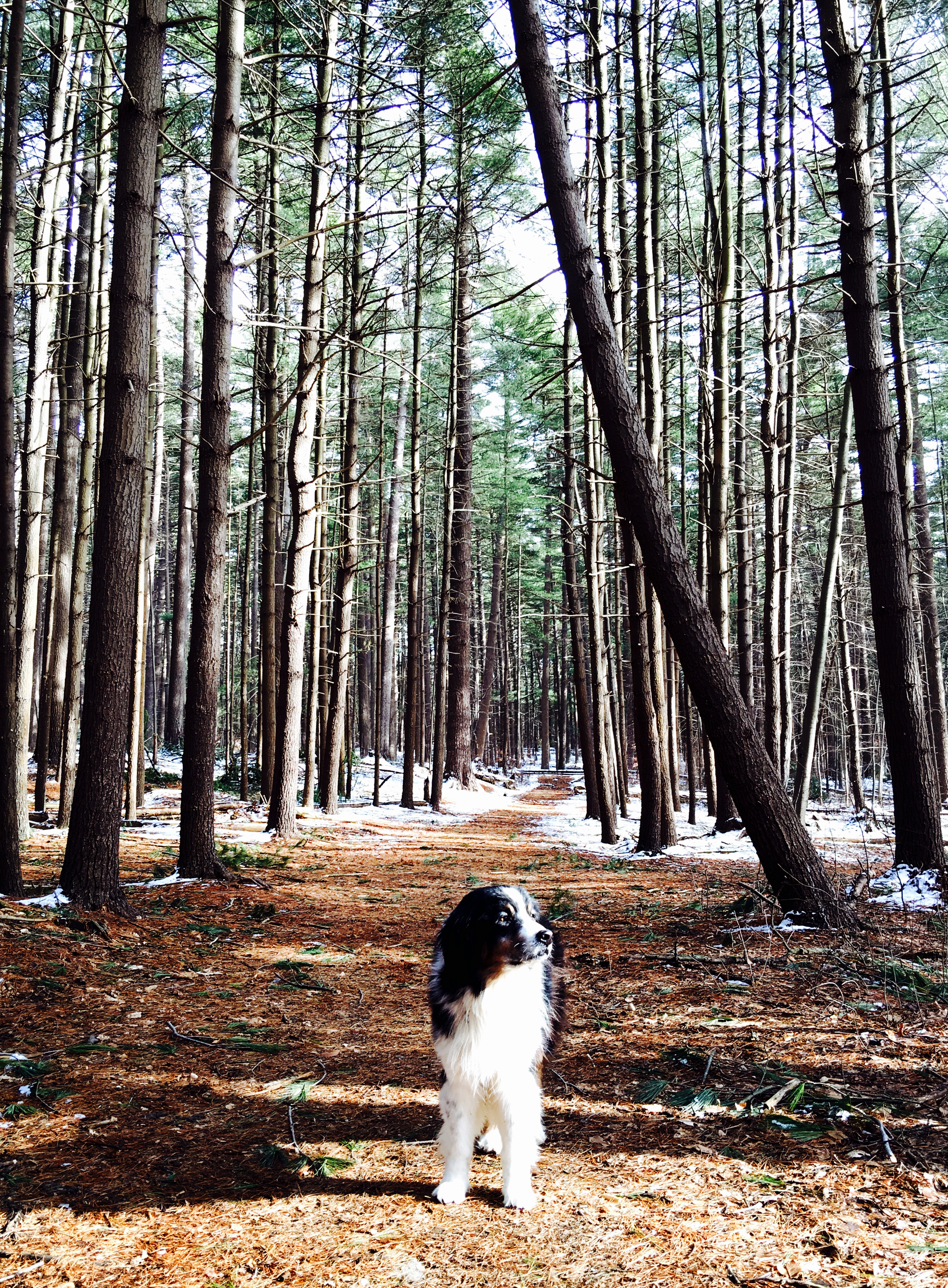 caleb at prosser pines e