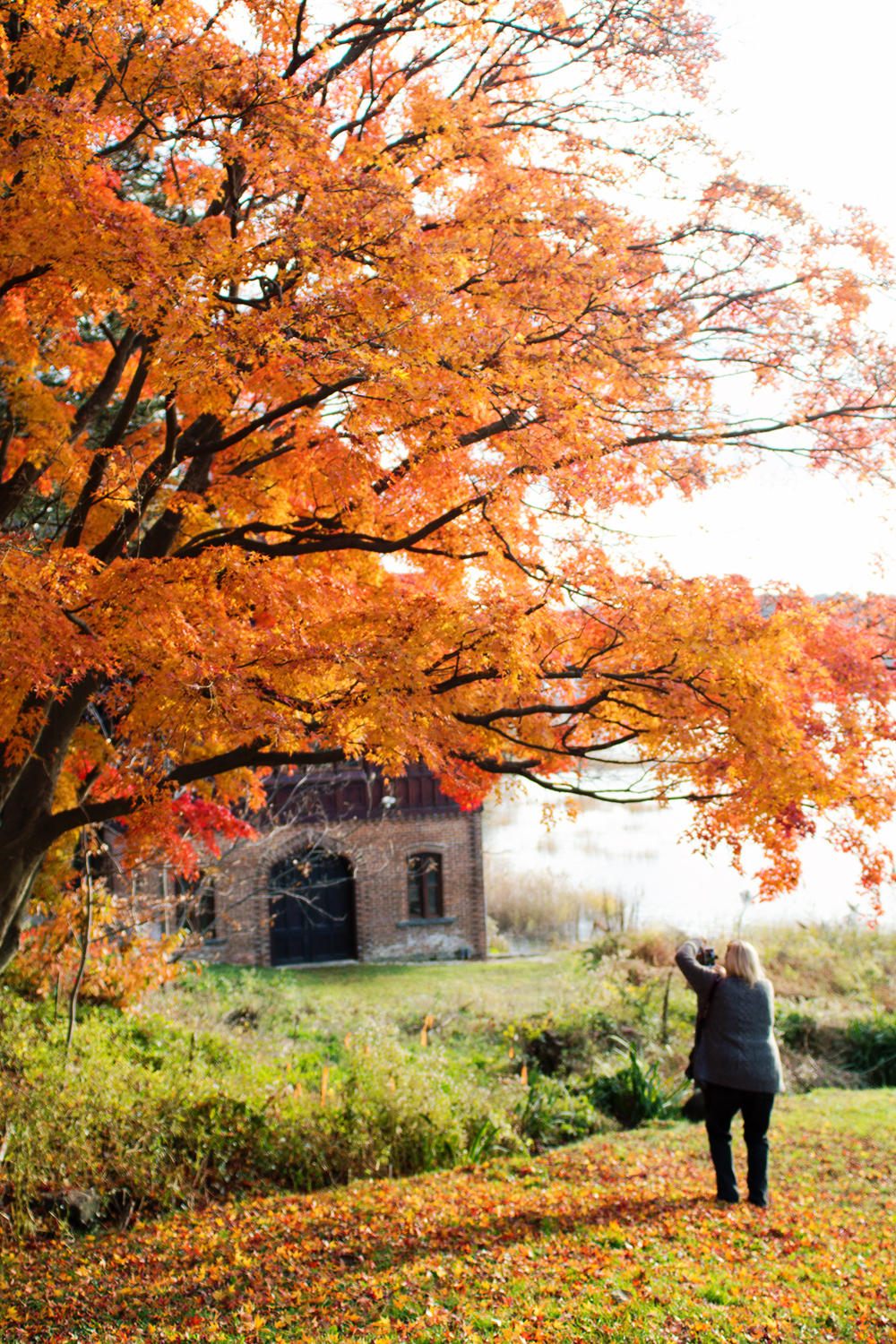 fashion-schlub-bettye-rainwater-plus-size-11-19-16-4-resized