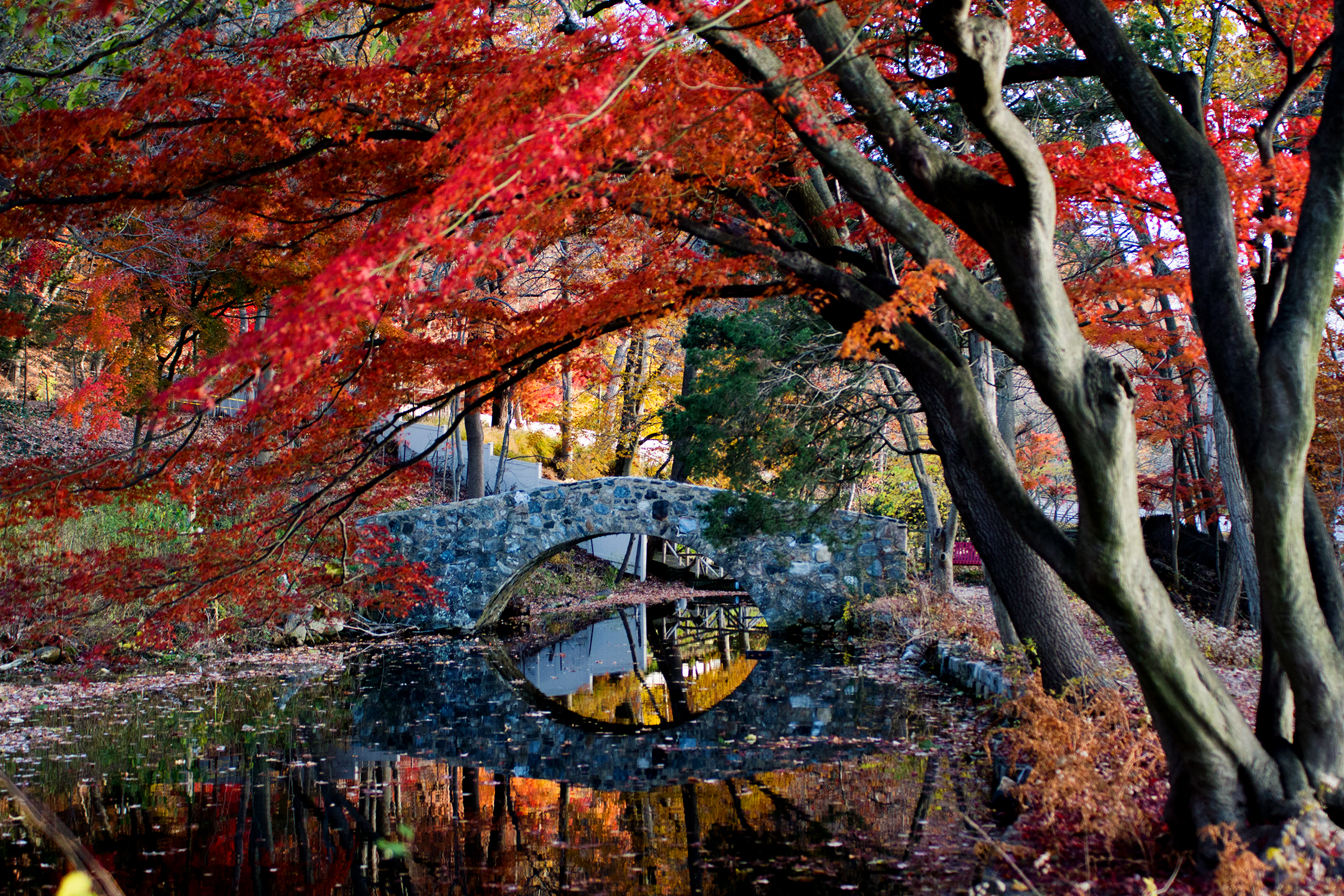 fashion-schlub-bettye-rainwater-plus-size-11-19-16-6-resized