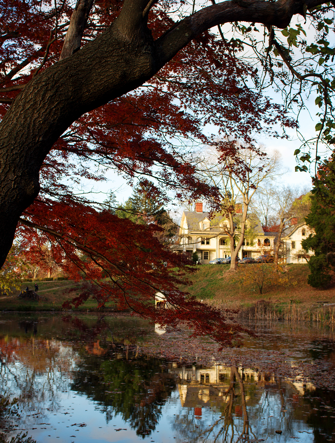 fashion-schlub-bettye-rainwater-plus-size-11-19-16-7-resized