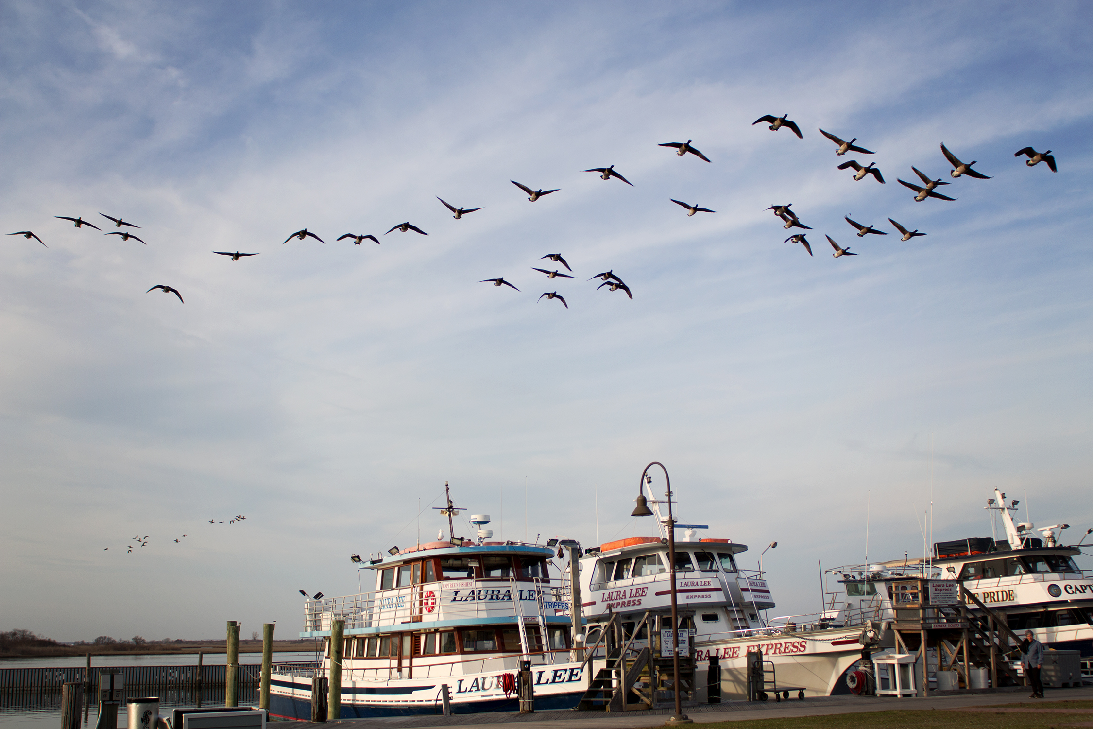 fashion schlub plus size blog 4.11.17 7 resized