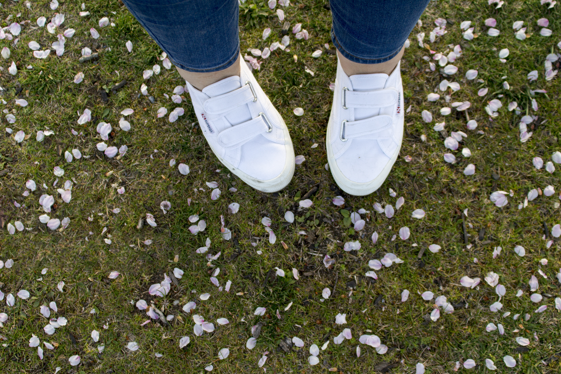 fashion schlub plus size fashion over 50 blogger bettye rainwater 4.20.17 7 resized