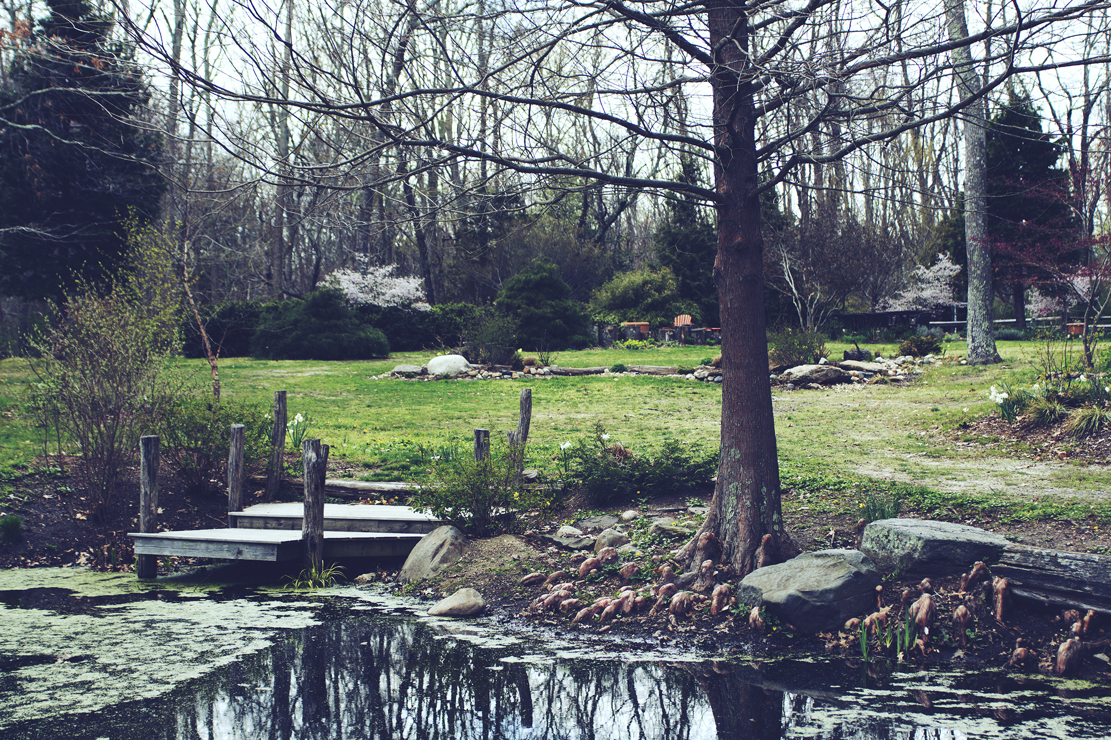 peconic river herb farm 4.23.17 14