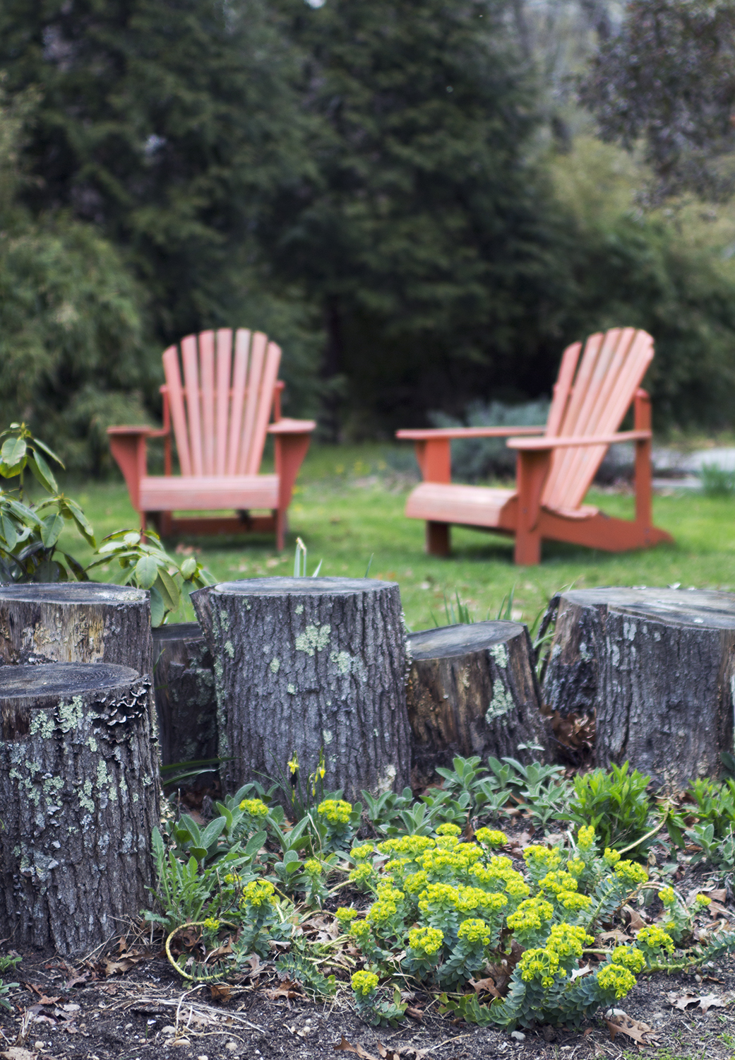 peconic river herb farm 4.23.17 17