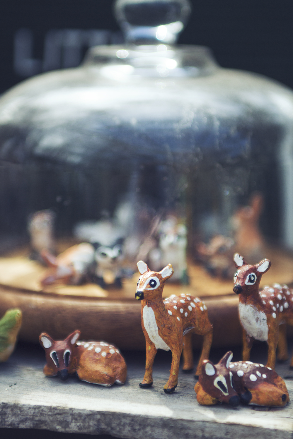 peconic river herb farm 4.23.17 9