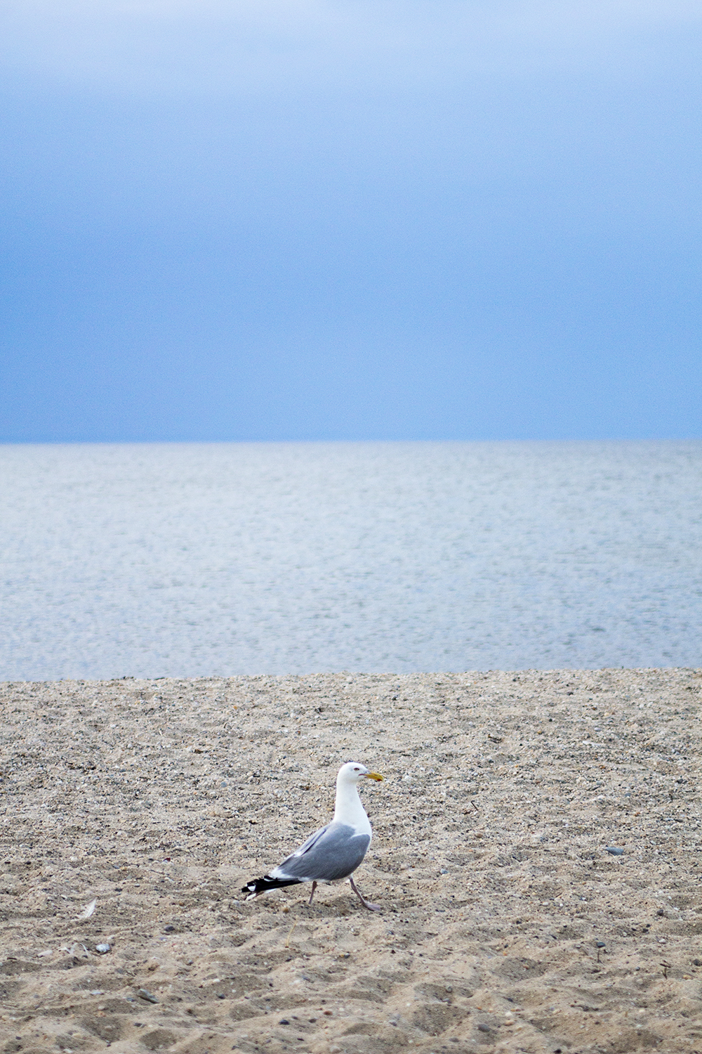 fashion schlub bettye rainwater plus size over 50 blogger 7.10.17 7 resized