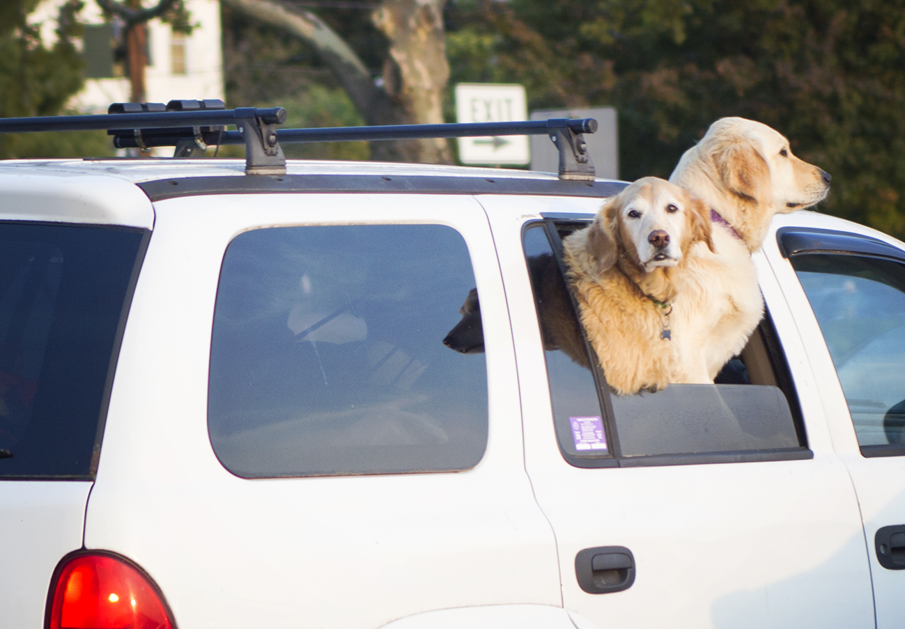 fashion schlub bettye rainwater plus size blogger northport 9.11.17 1 blogsized