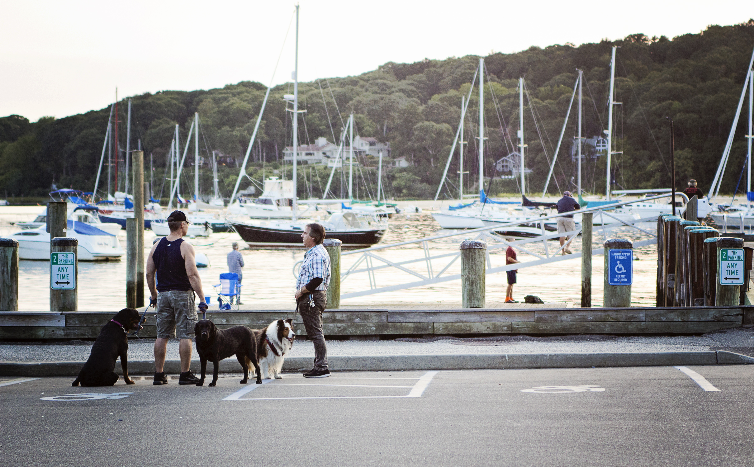 fashion schlub bettye rainwater plus size blogger northport 9.11.17 8 blogsized