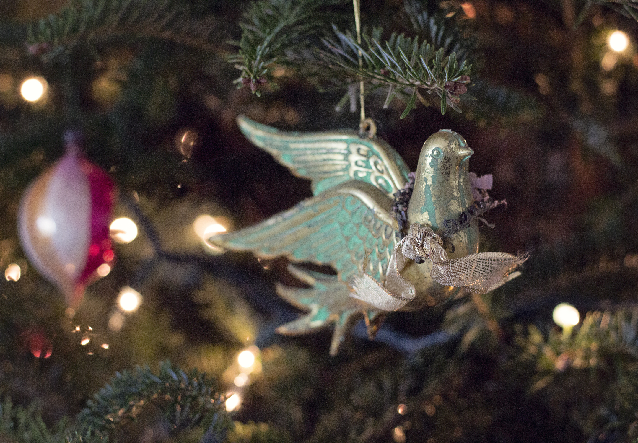 christmas 2017 4 resized