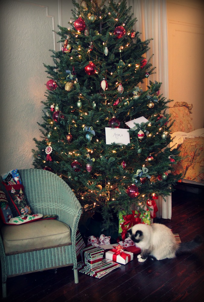 madison tree 12.25.10 P