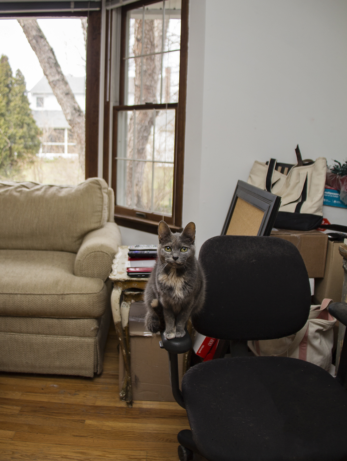 fashion schlub bettye rainwater plus size fashion blogger 1.13.18 5 resized