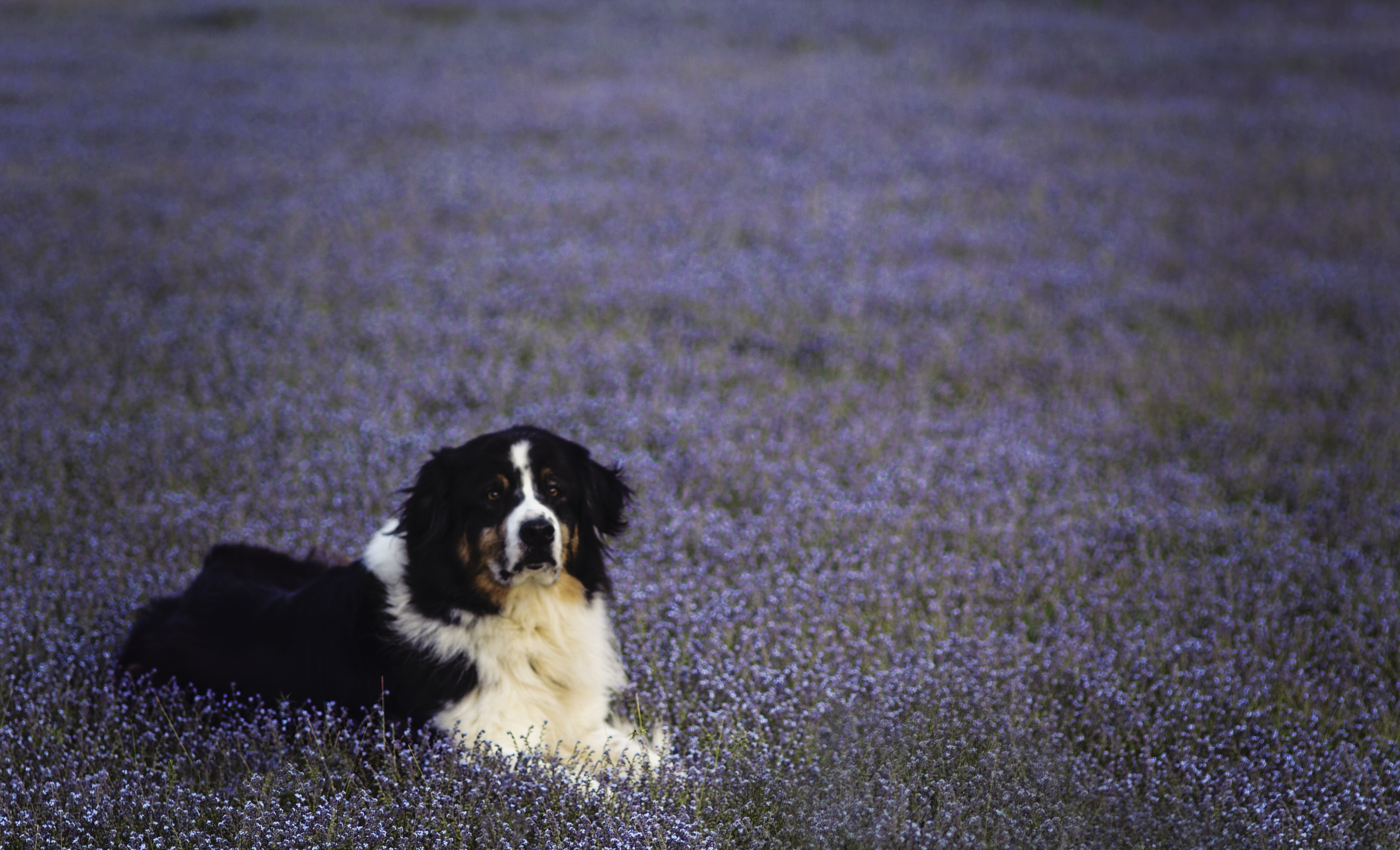 after caleb 5.21.14 1