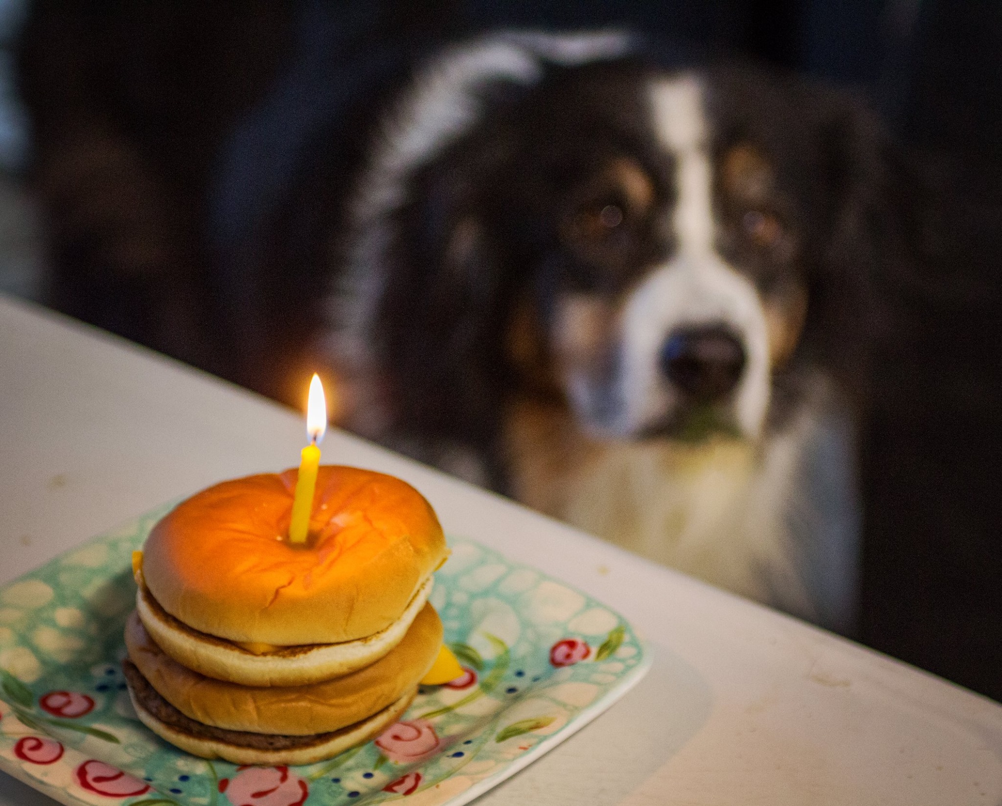 caleb 13th birthday 3.5.16