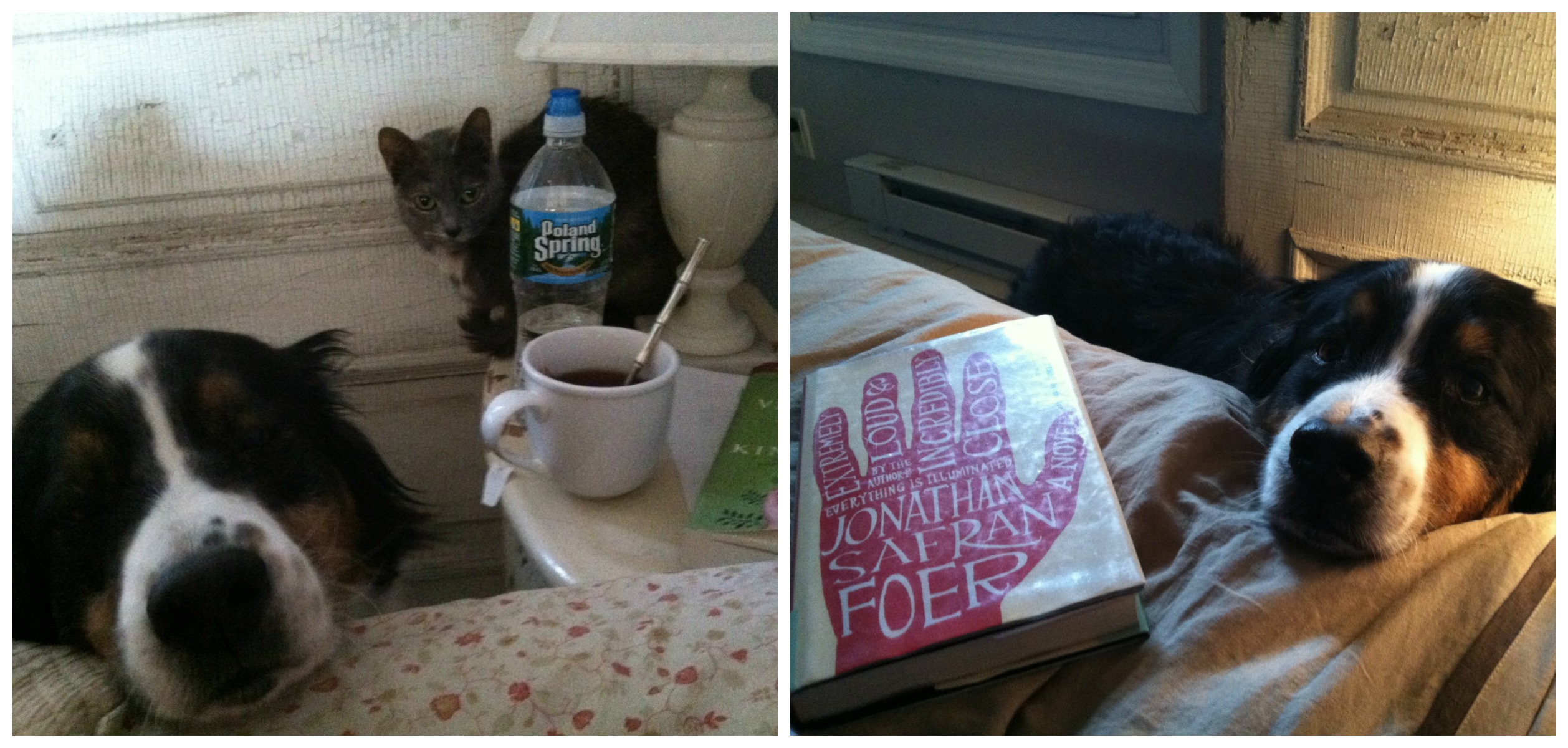 caleb head on my bed