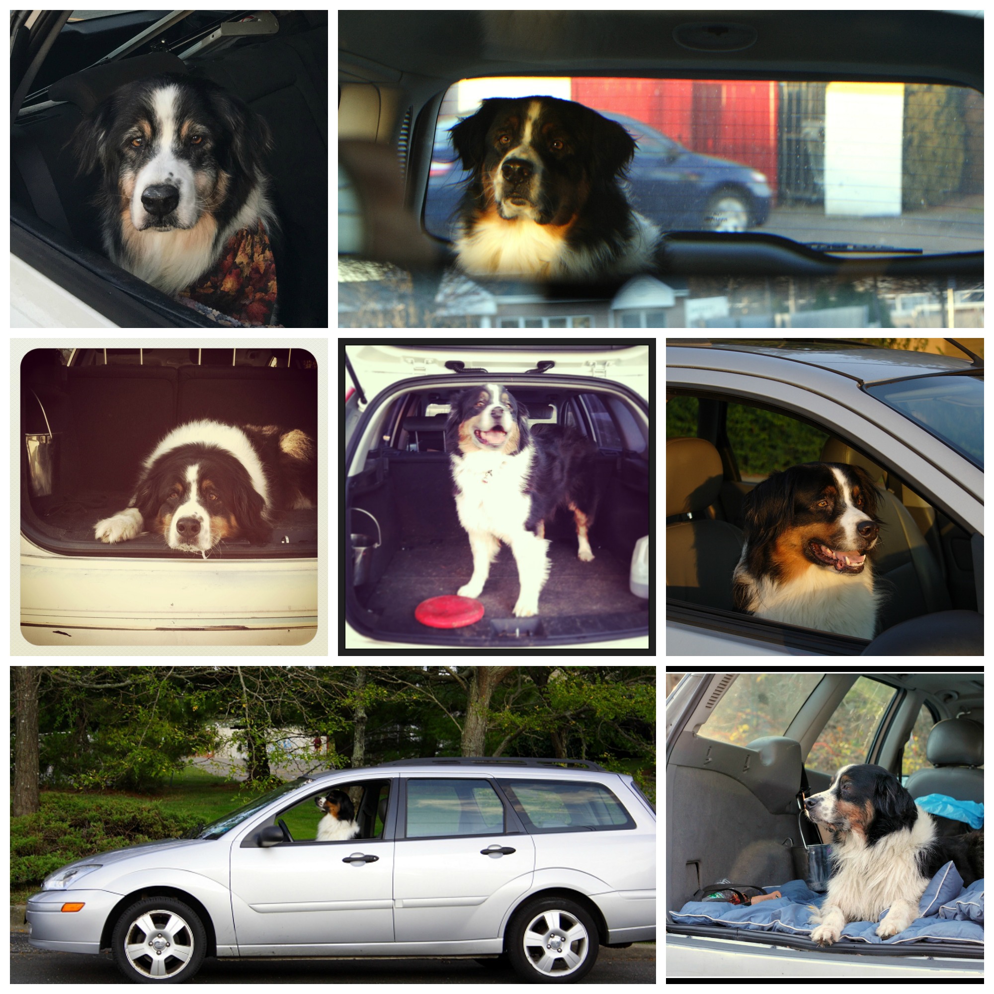 caleb in the car collage.jpg