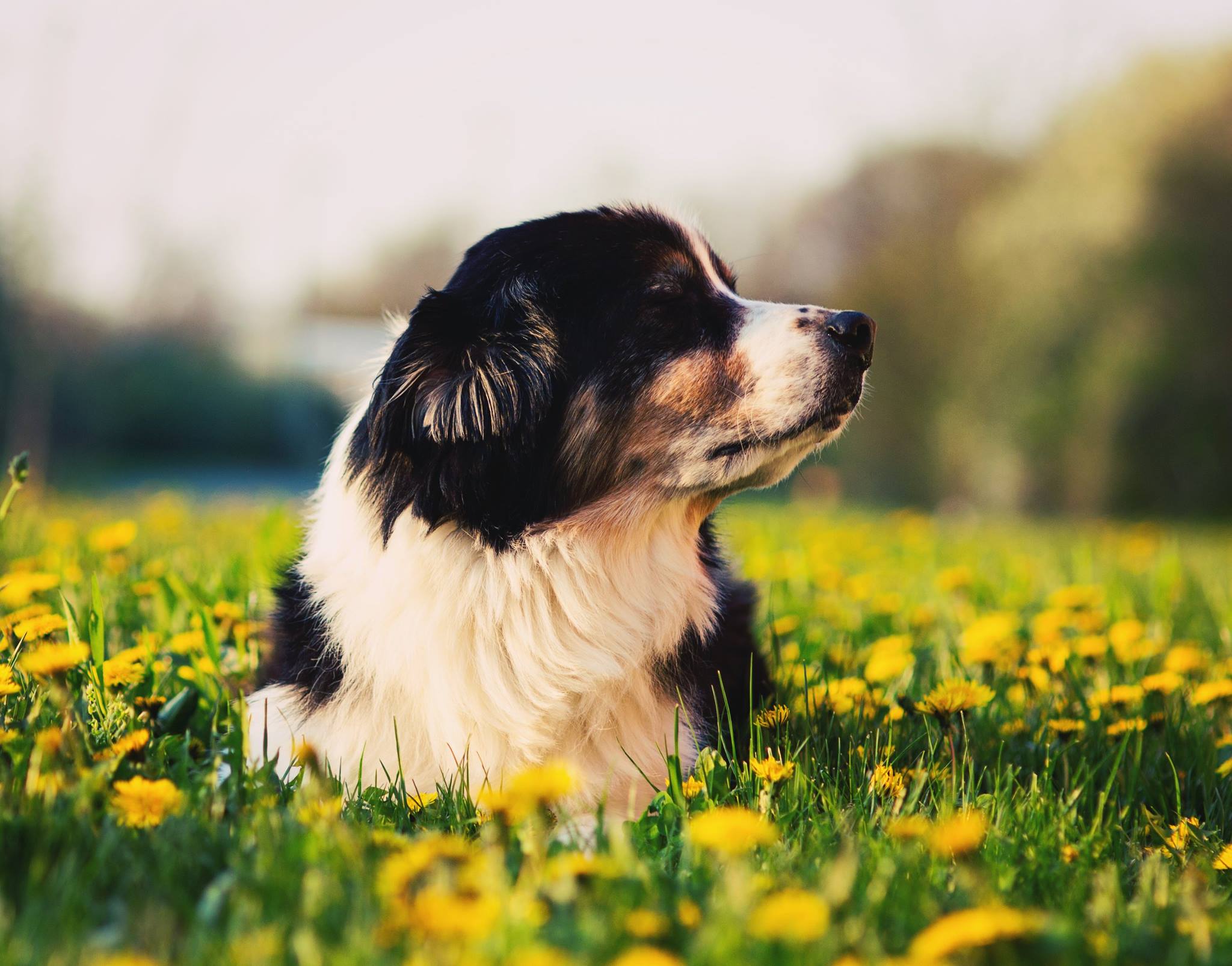 caleb sccc preserve 5.4.15