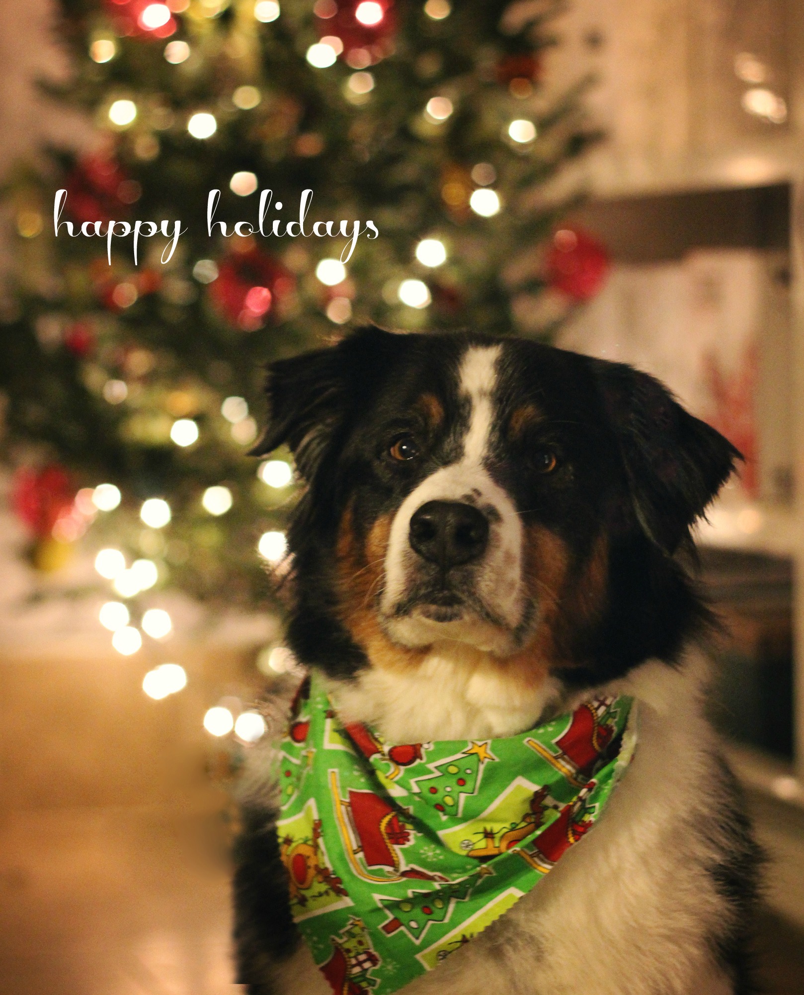 caleb xmas 12.22.12 text