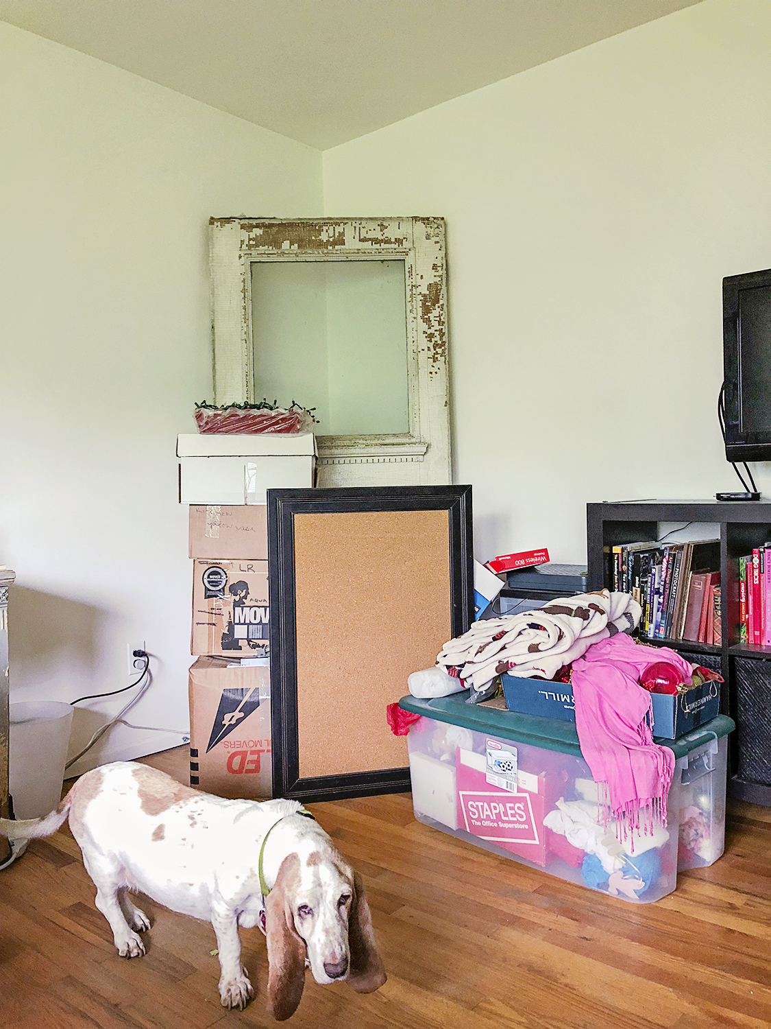 fashion schlub bettye rainwater long island plus size fashion blogger 5.29.18 a resized