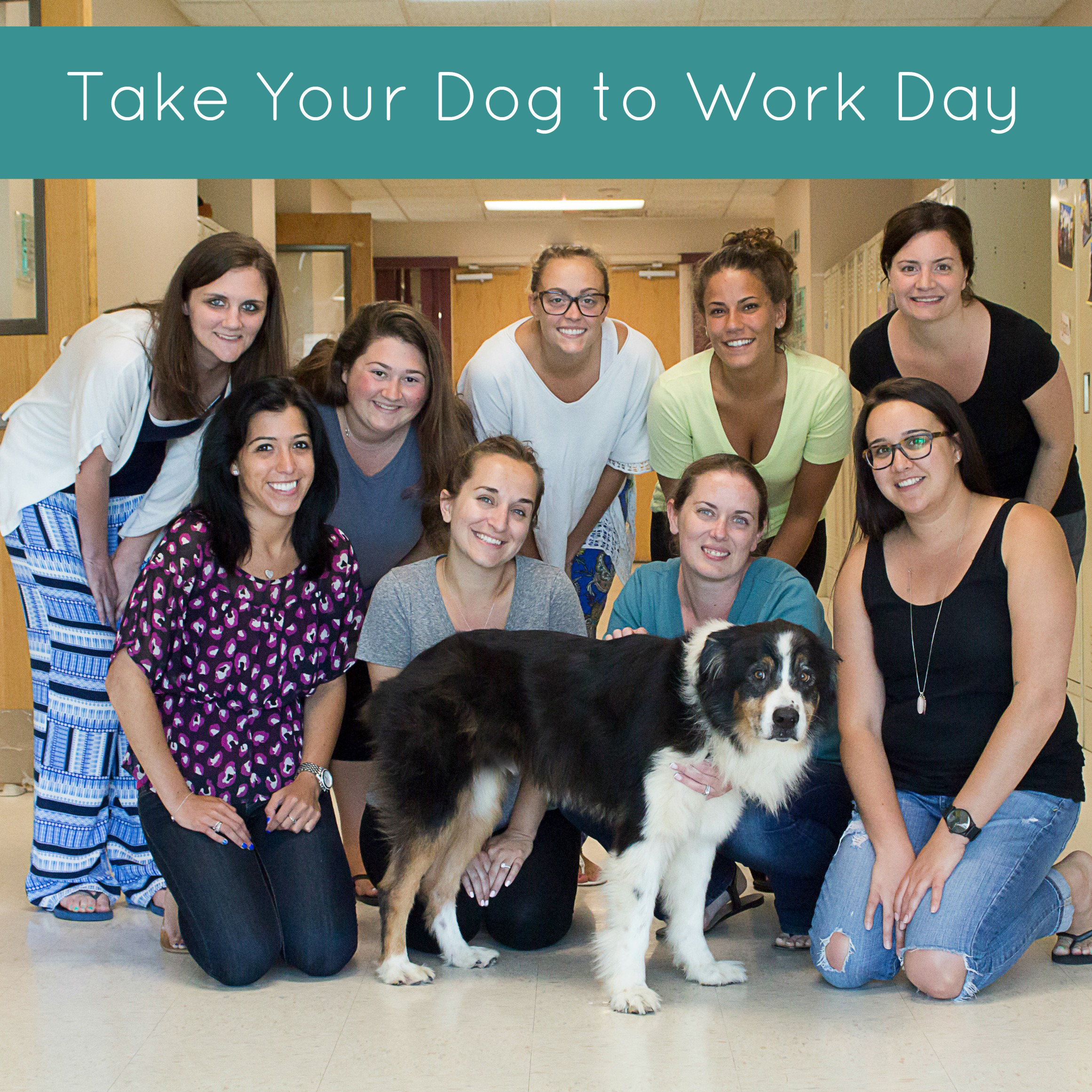 take your dog to work day 6.26.15