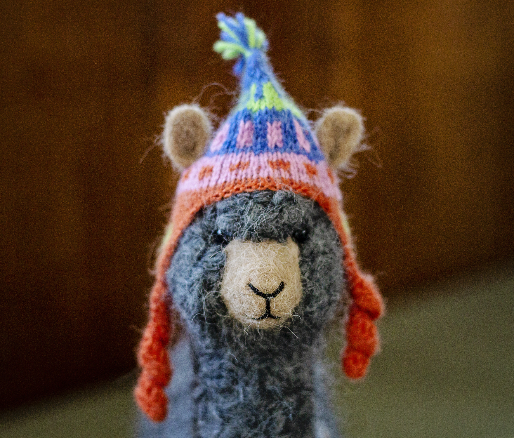 linda and alpaca faraway farms 6.16.18 7 resized