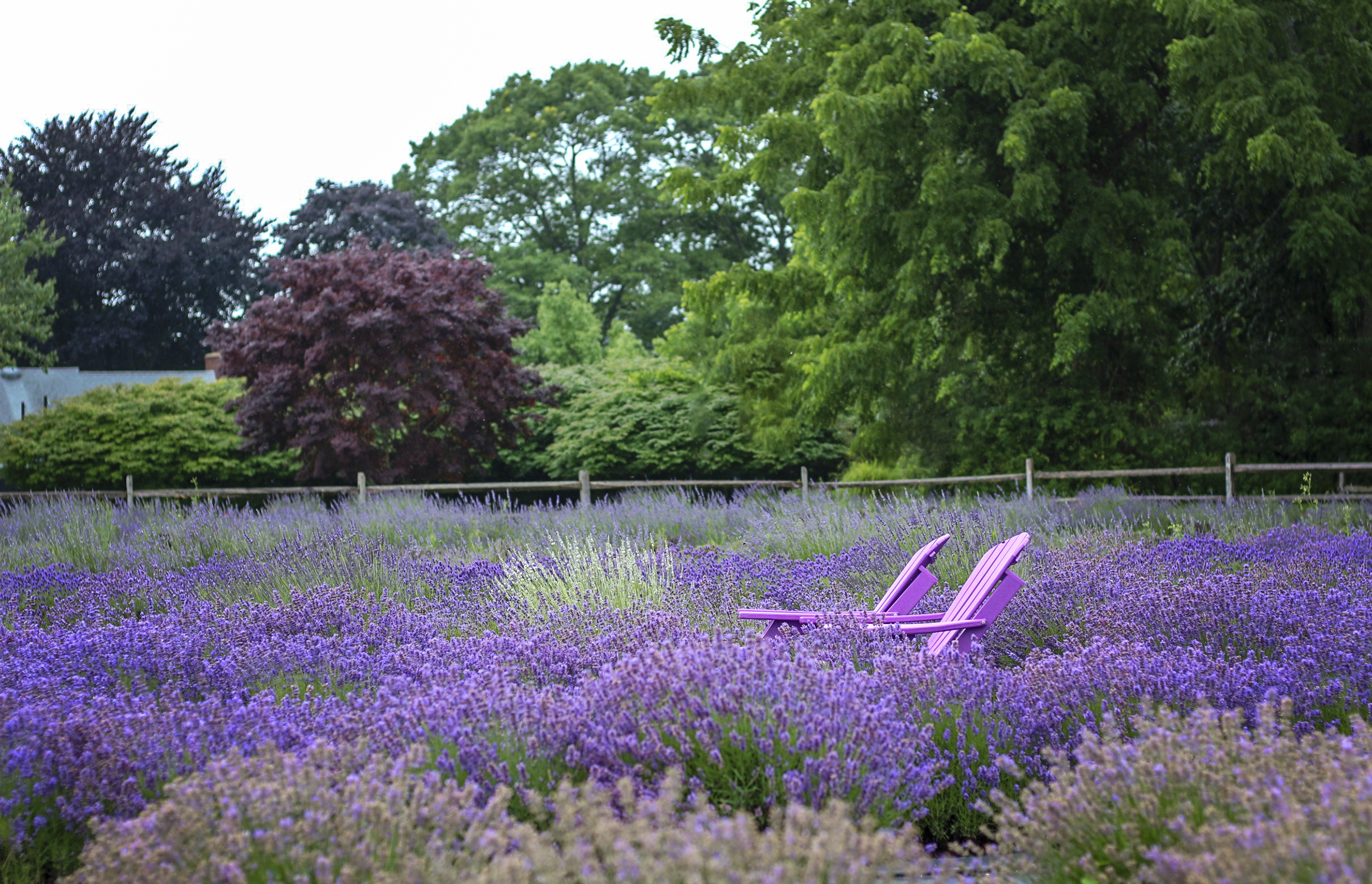 fashion schlub bettye rainwater long island plus size fashion blogger 7.6.18 8 resized