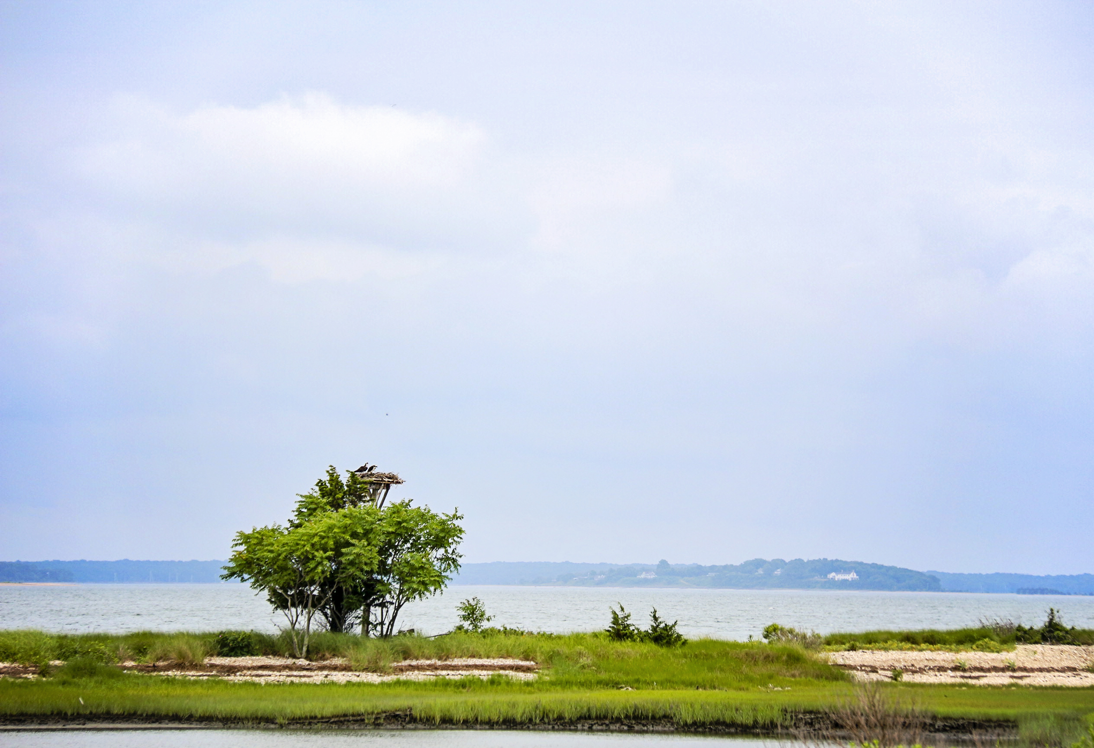 out east 7.6.18 1 resized