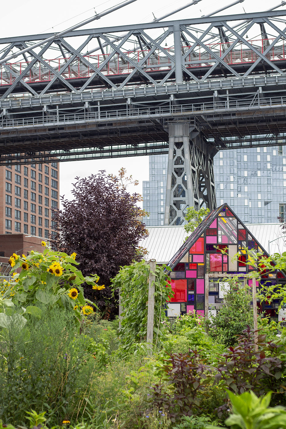 mondrian greenhouse domino park 8.19.18 resized