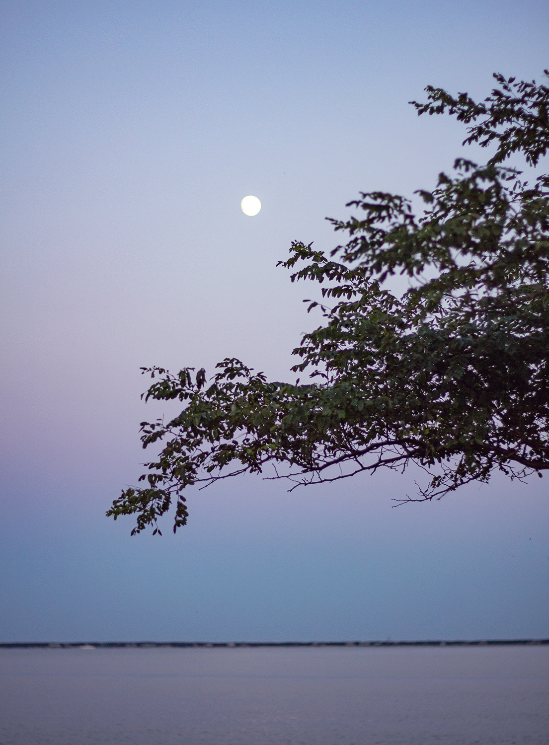 springs ny 8.23.18 2 resized