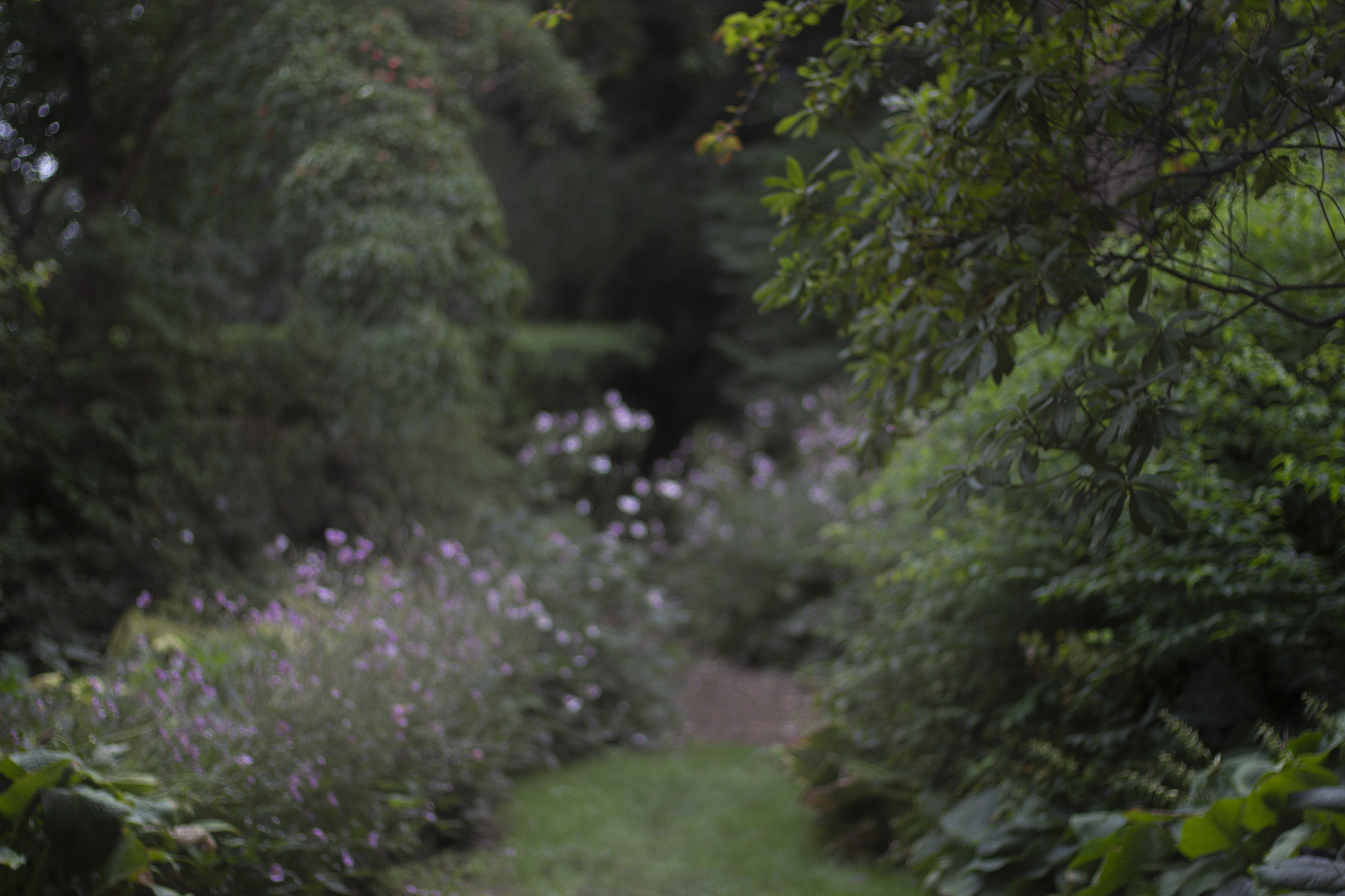 bettye rainwater fashion schlub long island plus size blogger 9.26.18 11 resized