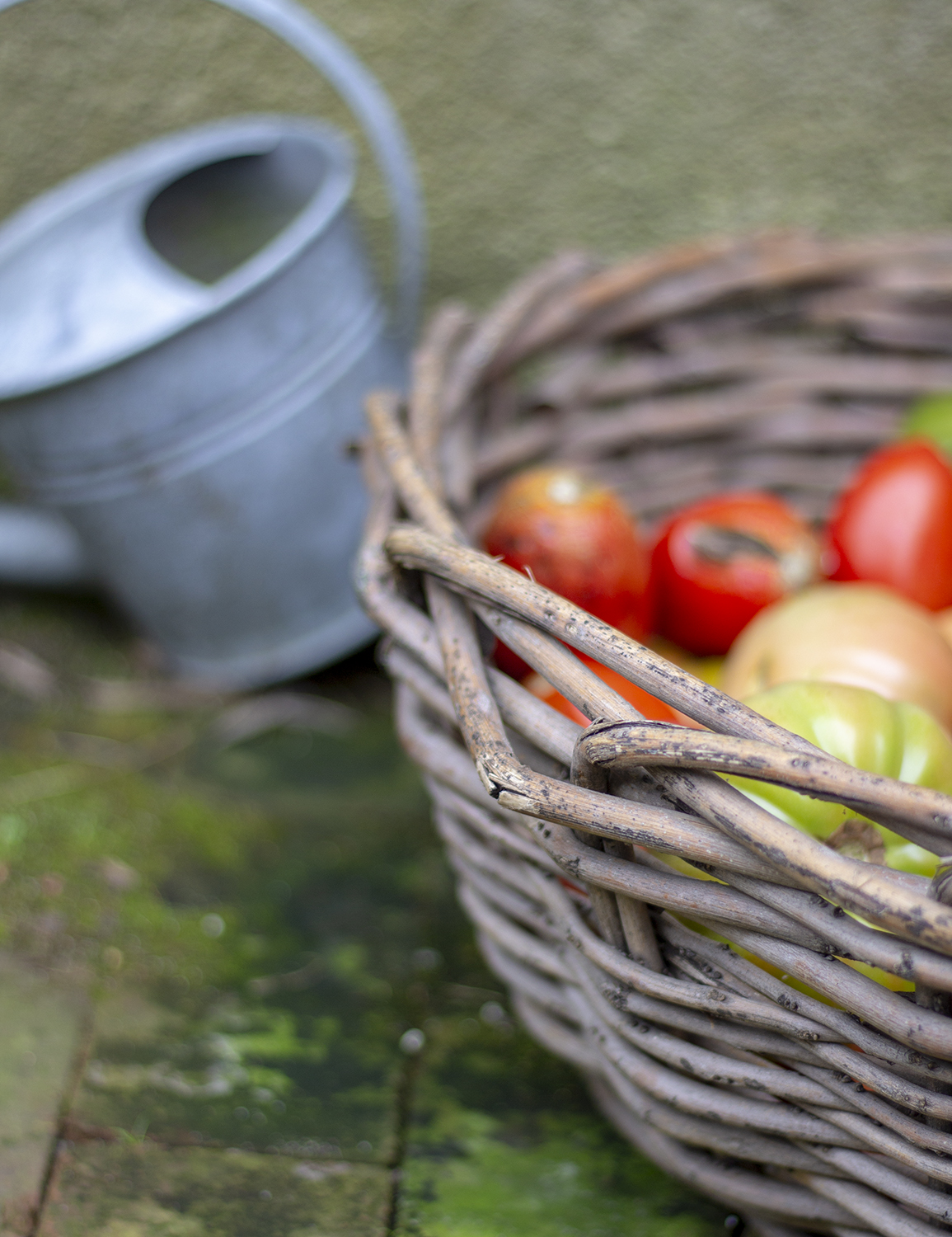 bridge gardens bridgehampton 9.23.18 1 resized