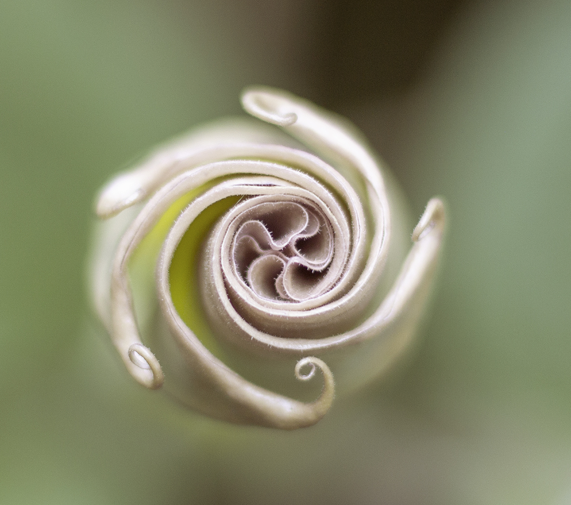 bridge gardens bridgehampton 9.23.18 3 resized