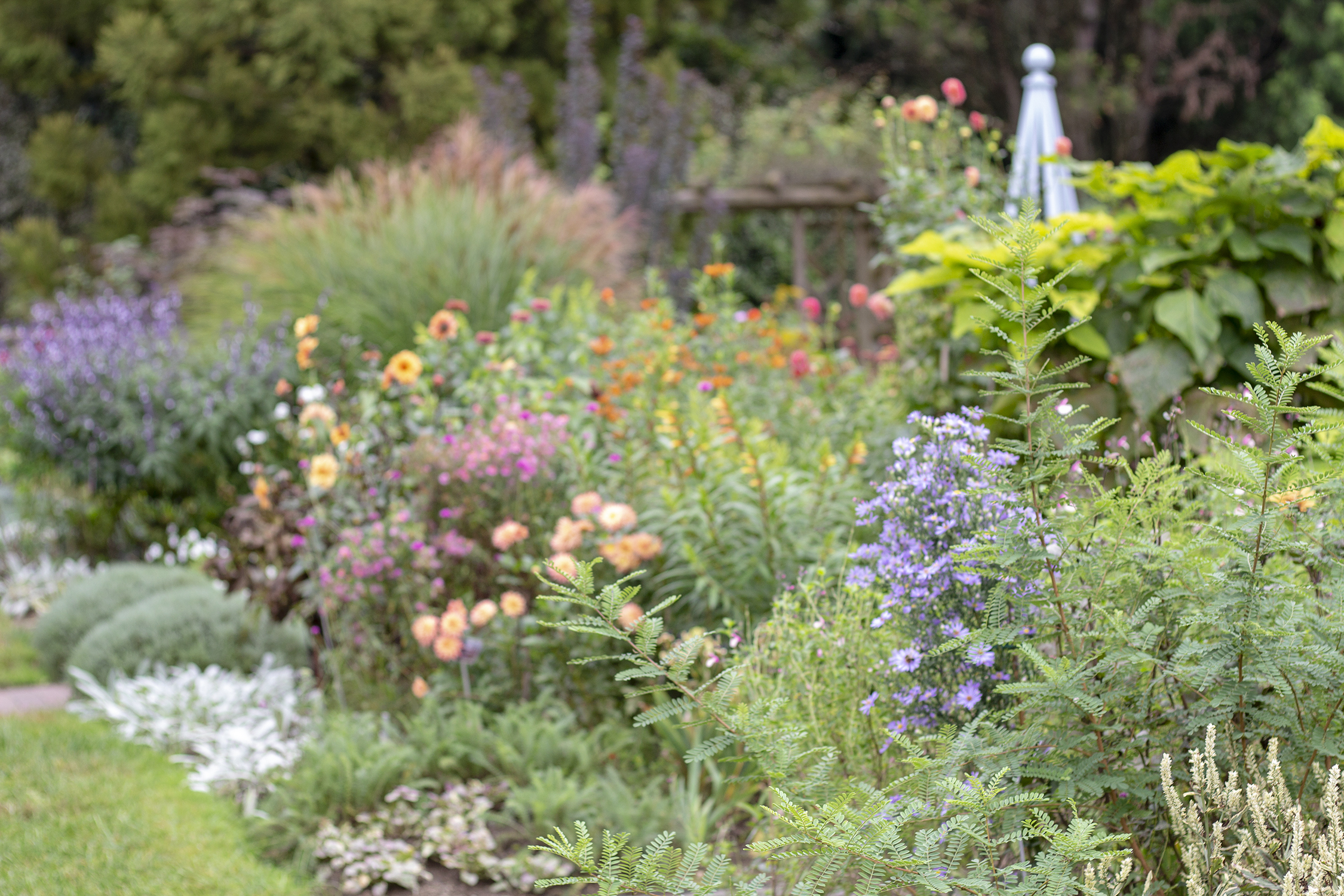 bettye rainwater long island photography wave hill 10.7.18 1 resized