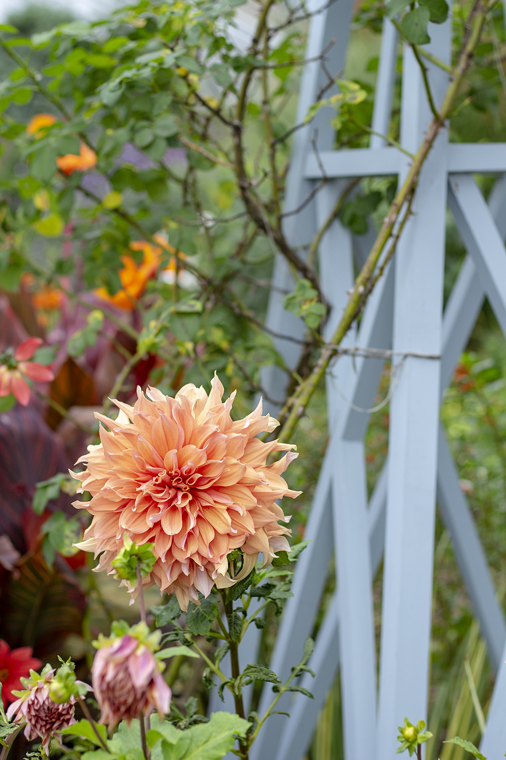 bettye rainwater long island photography wave hill 10.7.18 2 resized