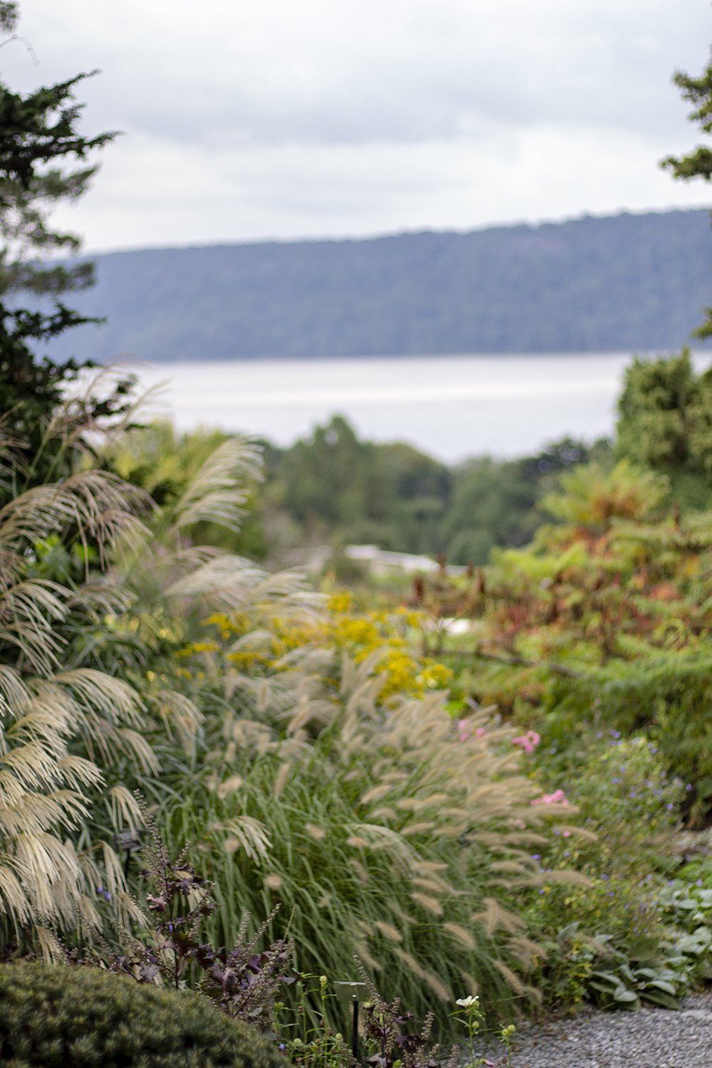 bettye rainwater long island photography wave hill 10.7.18 4 resized