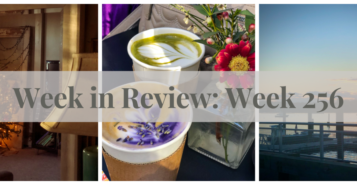 collage of christmas tree oranges and sunset over harbor