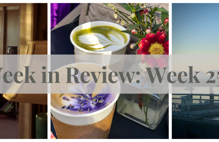 collage of christmas tree oranges and sunset over harbor