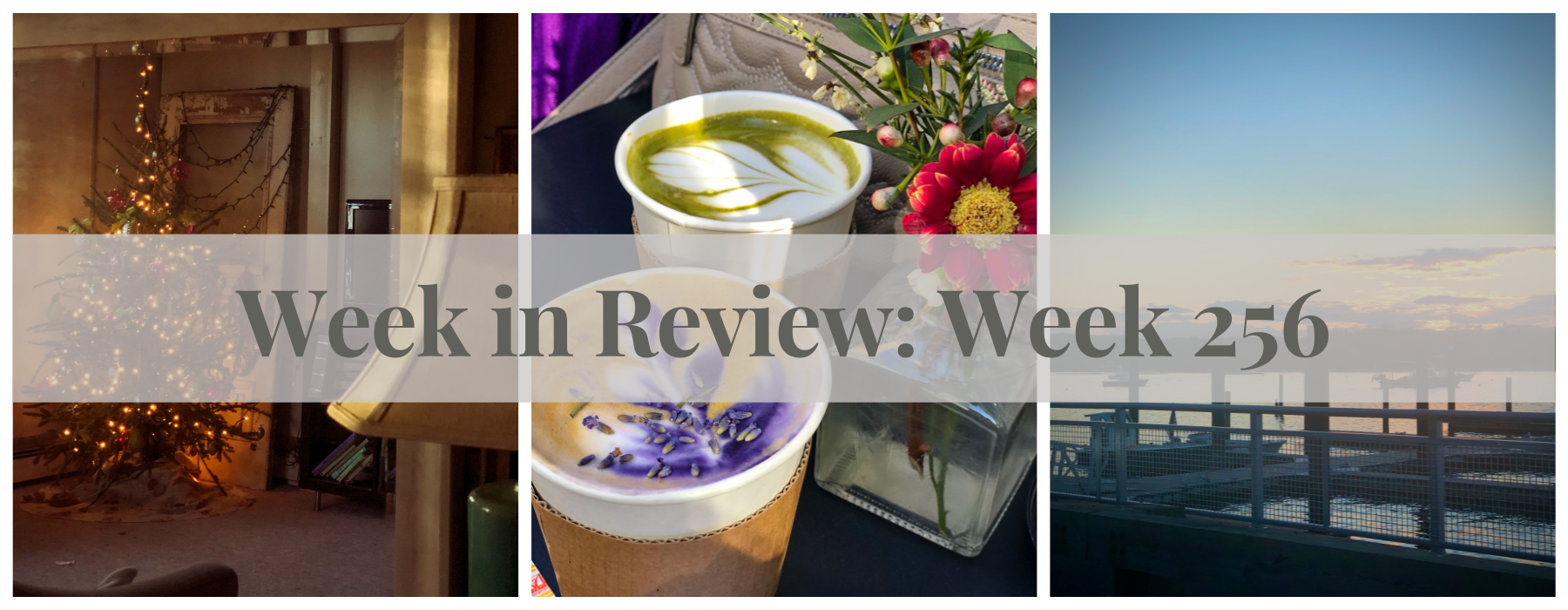 collage of christmas tree oranges and sunset over harbor