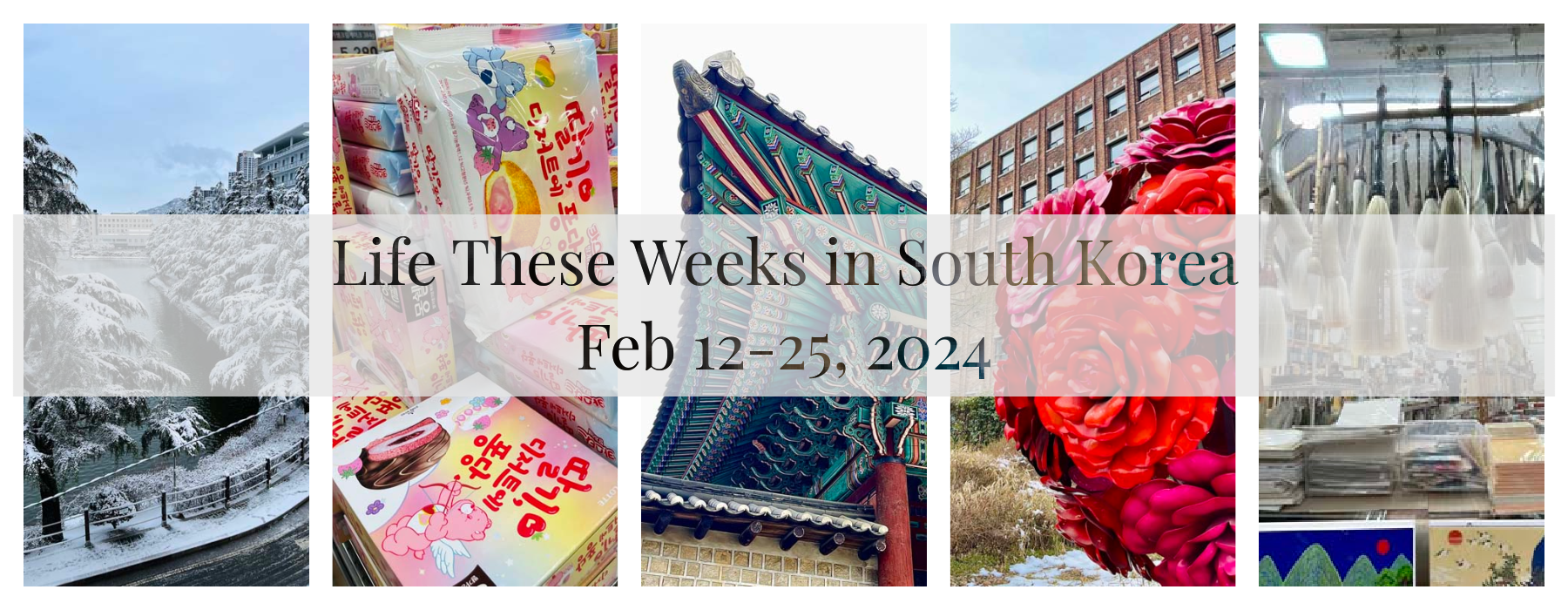 Life These Weeks In South Korea Feb 12 25 2024 Fashion Schlub   FS WIR Feature 2.26.24 